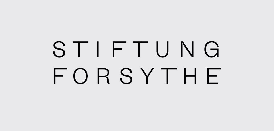Johanna Unterberg, Corporate Design Stiftung Forsyhte