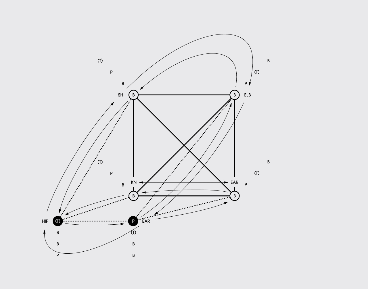 Johanna Unterberg, Grafikdesign