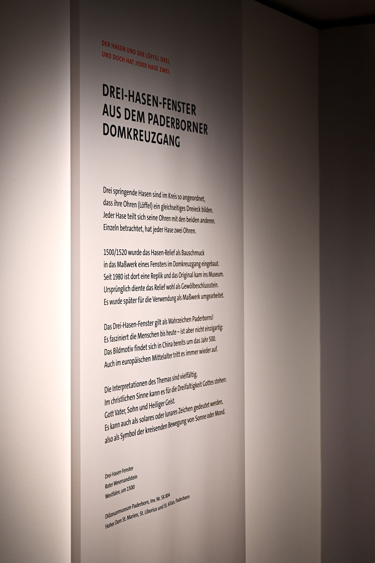 Johanna Unterberg, Ausstellungsgestaltung